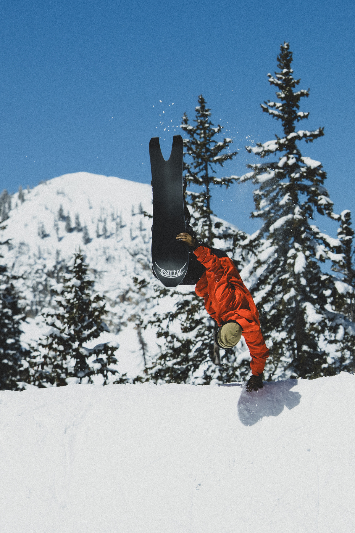 41_cbee5968-a2a1-42fb-b53f-