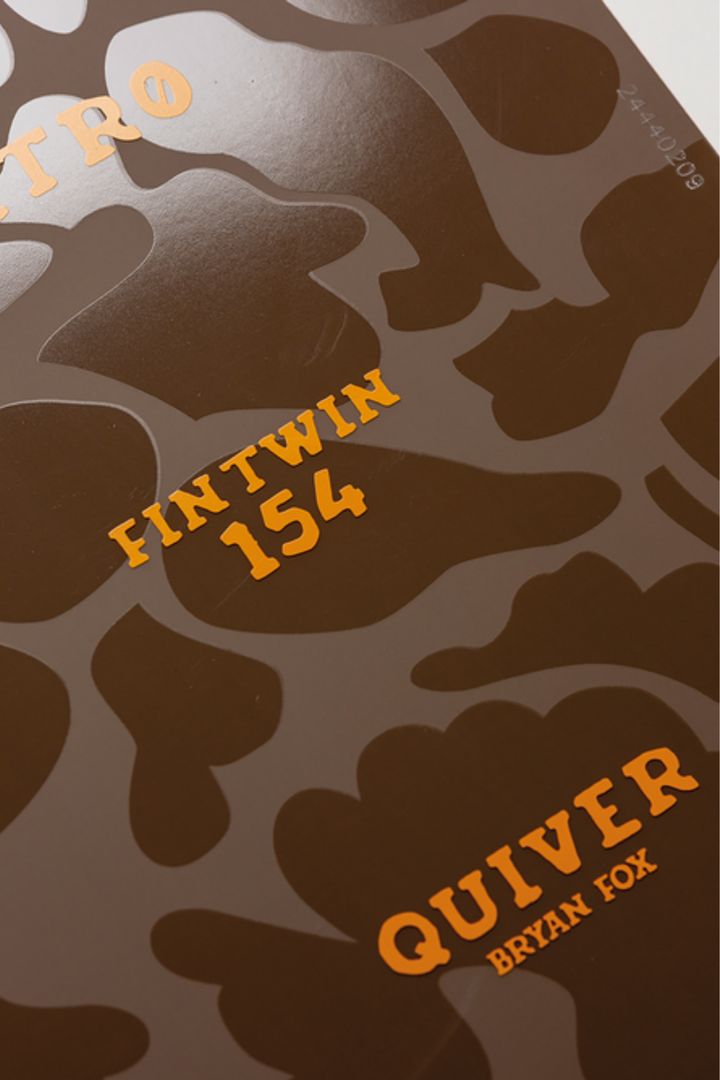 FINTWIN