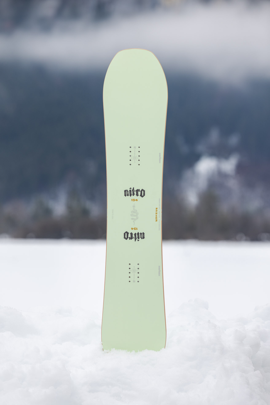 BASHER
