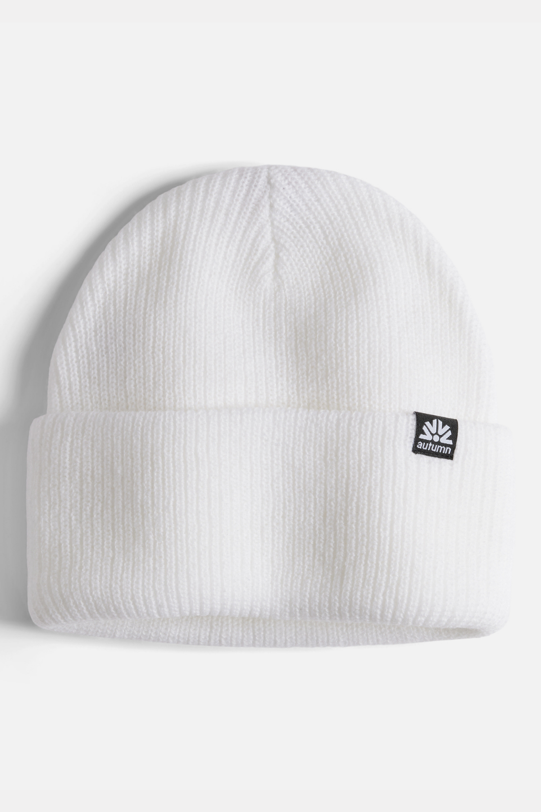 SIMPLE SOLID