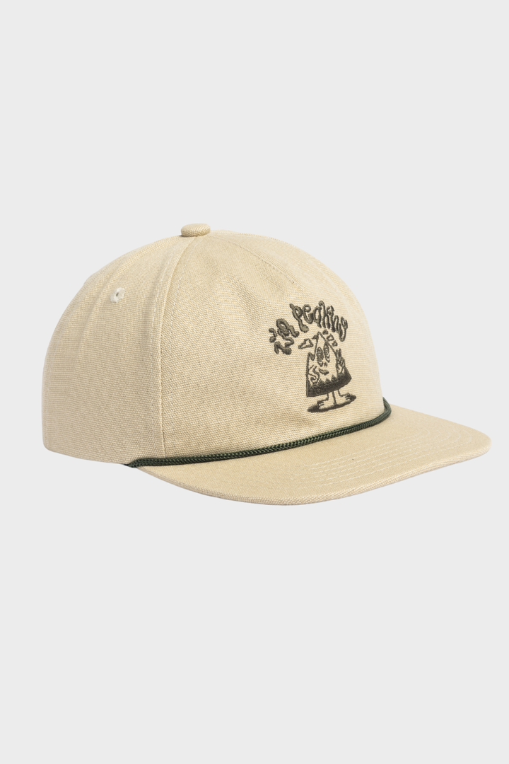 CANVAS 5 PANEL
